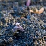 LJO Photography-St James-Flowerfields-engagement-0198