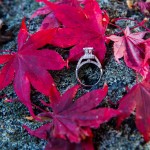 LJO Photography-St James-Flowerfields-engagement-0201