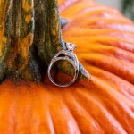 LJO Photography-St James-Flowerfields-engagement-0215