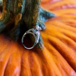 LJO Photography-St James-Flowerfields-engagement-0216