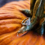 LJO Photography-St James-Flowerfields-engagement-0217