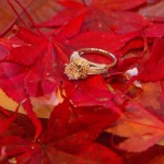 LJO Photography-St James-Flowerfields-engagement-0226