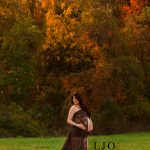 astonishing awesome beautiful celestial elevated empyrean ethereal exalted fabulous grand heavenly pregnancy maternity photos gowns dress